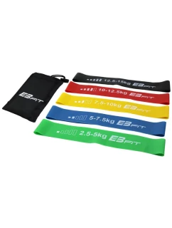 Fitnnes Crosfit mini Band 5v1 EB FIT 1028842