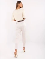 Spodnie DHJ SP model 20849242 jasny beżowy - FPrice