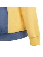 Mikina adidas Cb Ft Hd Jr IS2689