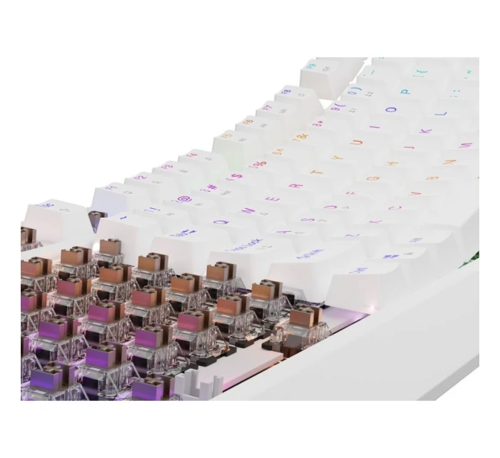 model 21491424 230 TKL USB + RF QWERTY klávesnice - Genesis