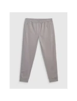 Spodnie  męskie model 21460734 - 4F