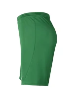 Pánská obuv Dry Park III NB K M BV6855 302 - Nike