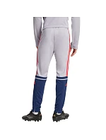 Kalhoty adidas Squadra 25 Training M JP3372