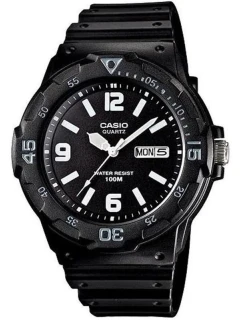 Pánské hodinky model 21804981 + krabice - CASIO