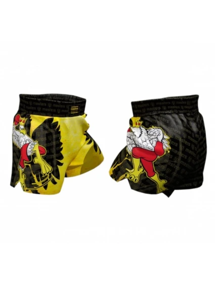 Tréninkové šortky JUNIOR model 21347272 Tréninkové šortky JUNIOR model 21347272