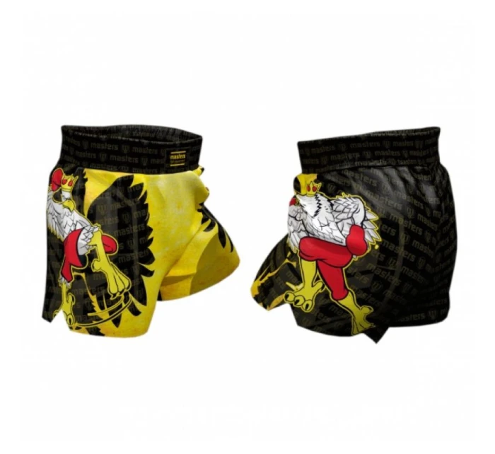 Tréninkové šortky JUNIOR model 21347272 Tréninkové šortky JUNIOR model 21347272