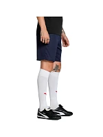 Pánské šortky Puma Team Goal navy blue 705752 06 Pánské šortky Puma Team Goal navy blue 705752 06