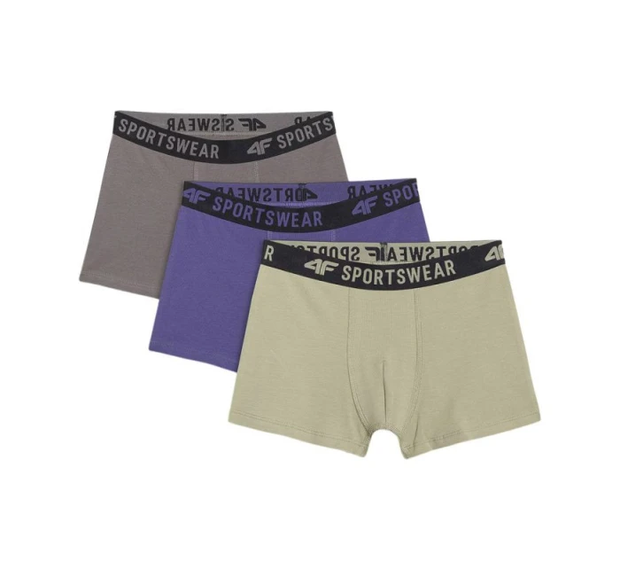 Chlapecké boxerky 4F M061 3pak vícebarevné 1 4FJWAW25UBXSM061 91S