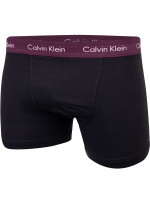 Calvin Klein Spodní prádlo Spodky 0000U2662GCPZ Černá barva