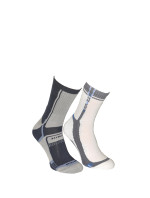 Pánské ponožky Active model 7461617 - Bratex