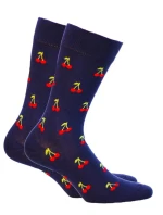 Vzorované pánské ponožky model 7508543 - Wola