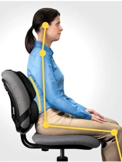 Profesionální polštářek na podporu zad Fellowes Ergonomics