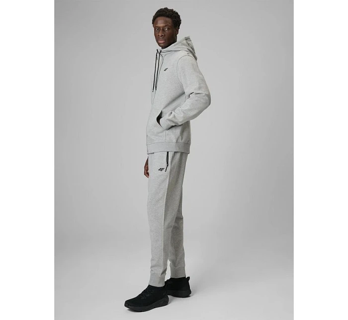 Pánské tepláky typu jogger 4F 4FRMM00TTROM2020-27M