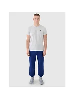 Pánské bavlněné tričko model 22117253 - 4F