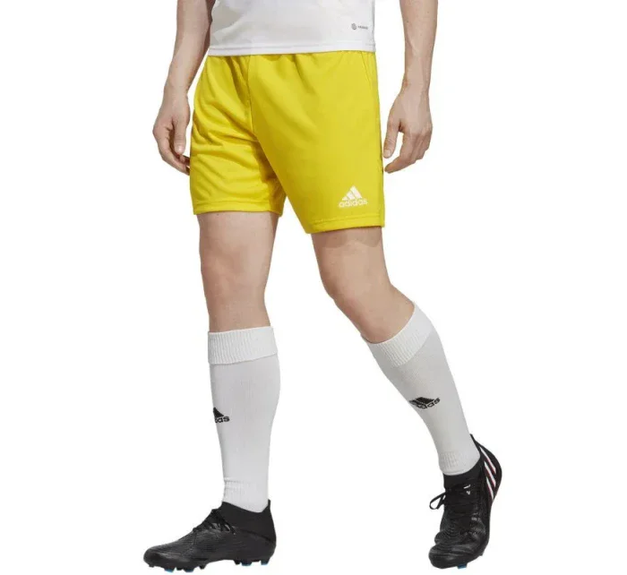 Pánské šortky Entrada 22 M IC7404 - Adidas