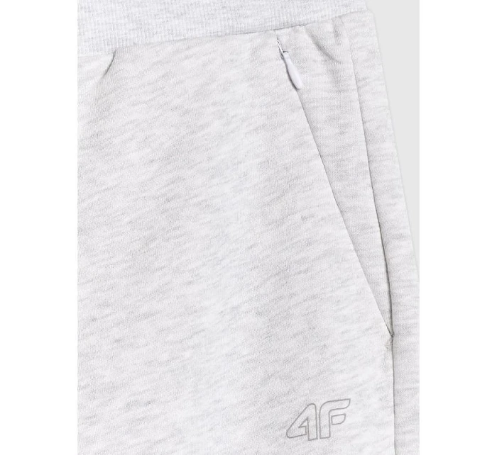 Dámské tepláky jogger 4F 4FRMM00TTROF1843-27M dámské