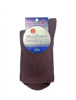 Dámské netlačící ponožky model 16123172 - Terjax