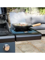 model 21810051 model 21810051