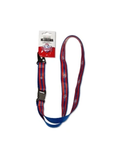 Premium Plus SREBSMYCZ model 21240932 - Inny