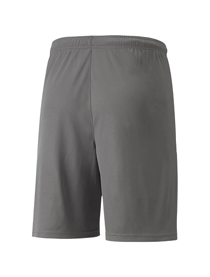 teamLIGA M model 21287999 13 šortky - Puma