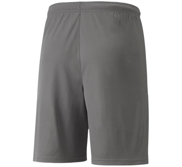 teamLIGA M model 21287999 13 šortky - Puma teamLIGA M model 21287999 13 šortky - Puma