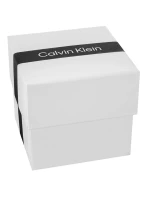CALVIN KLEIN CK Flex Pánské hodinky 25200467 + BOX