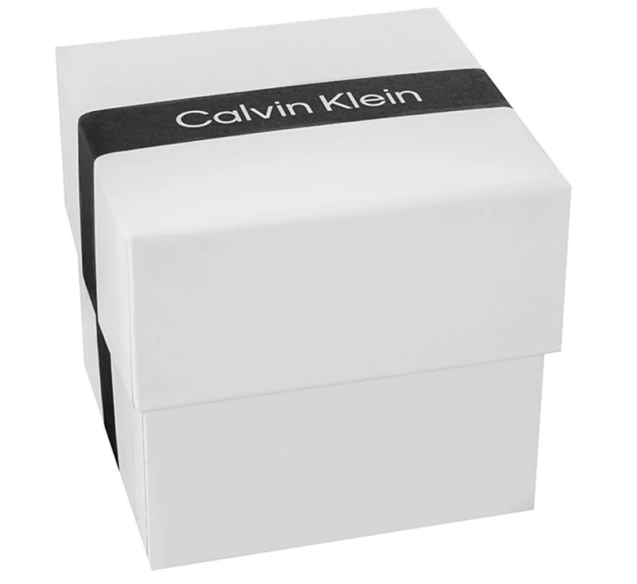 CALVIN KLEIN CK Flex Pánské hodinky 25200467 + BOX