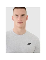 Pánské bavlněné tričko model 22117253 - 4F