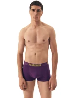 Pánské boxerky 2 pack model 20947055 Spin - Henderson