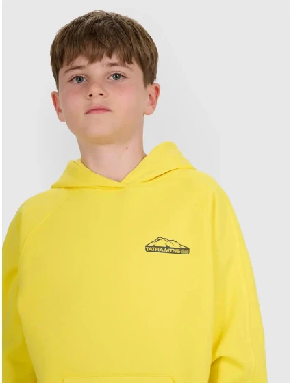 Chlapecká mikina 4F