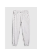 Pánské tepláky typu jogger model 21433032 - 4F Pánské tepláky typu jogger model 21433032 - 4F