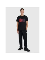 Pánské tričko s potiskem 4F 4FRAW25TTSHM3224-20S