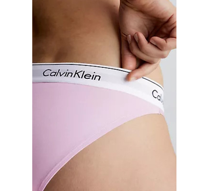 Spodní prádlo Dámské kalhotky BIKINI 0000F3787EFTW - Calvin Klein