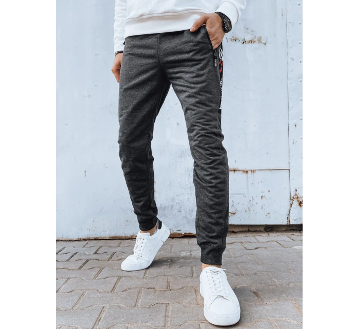 Pánské tmavě šedé tepláky model 21975778 - Dstreet