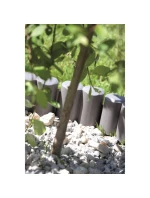 OGRODOWA   6 dětské model 21831724