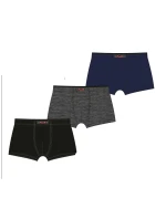 Hladké pánské boxerky model 21472129 - C+3