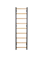 GYMNASTICKÝ ŽEBŘÍK ZÁBRADLÍ A LAVICE LAVICE 733B