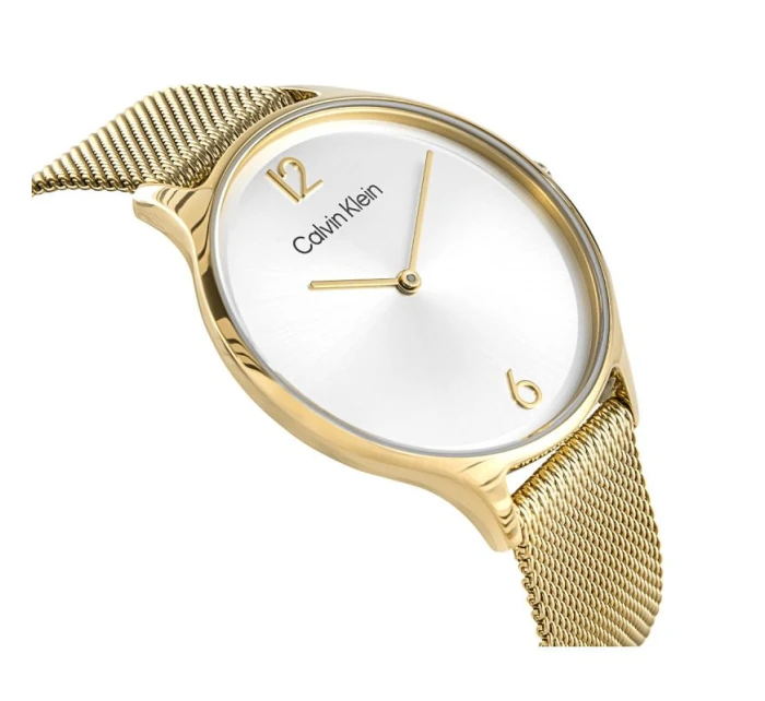 Dámské hodinky Timeless Mesh model 21806519 + BOX dámské - Calvin Klein Dámské hodinky Timeless Mesh model 21806519 + BOX dámské - Calvin Klein