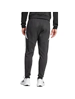 Kalhoty Tiro 24 M model 19484782 - ADIDAS