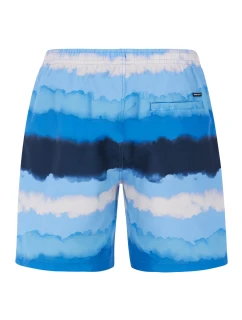 Pánské plážové šortky model 20438168 - Protest