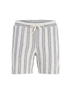 pánské šortky   SHORTS SN  DANCER/S model 22199565 - Jack&Jones