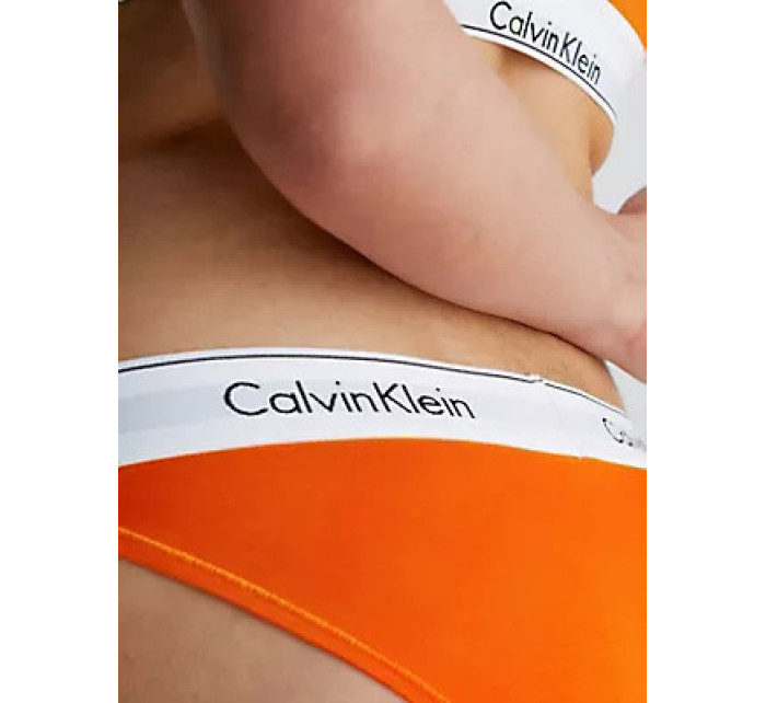 Spodní prádlo Dámské kalhotky BIKINI 0000F3787ESAS - Calvin Klein