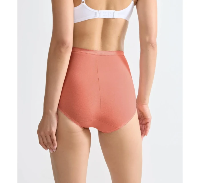 sloggi Basic+ Maxi C3P - UNKNOWN - SLOGGI UNKNOWN - SLOGGI sloggi Basic+ Maxi C3P - UNKNOWN - SLOGGI UNKNOWN - SLOGGI