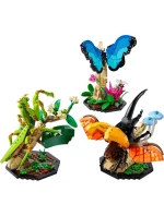 LEGO Ideas 21342 Sbírka hmyzu