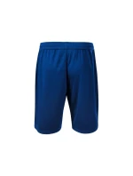 M šortky model 18444538 - Malfini