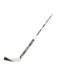 Sr  brankářská a hybridní hůl model 21261692 - Fischer