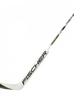 Sr  brankářská a hybridní hůl model 21261692 - Fischer