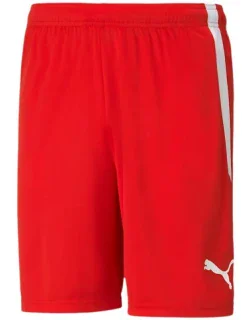 Šortky teamLIGA M model 18825942 01 - Puma