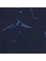 Pánské plavky model 21098068 blue - Atlantic