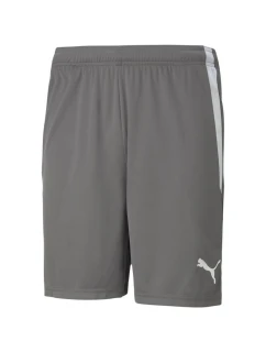 teamLIGA M model 21287999 13 šortky - Puma